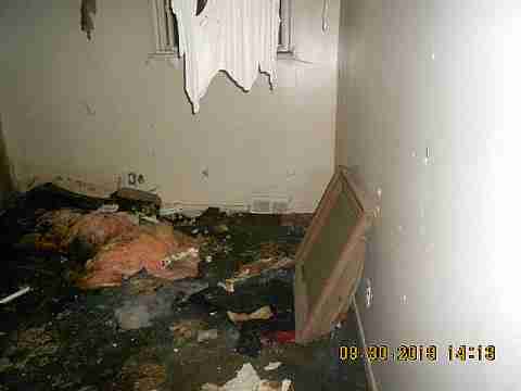 6637 Majestic (28)_m.jpg